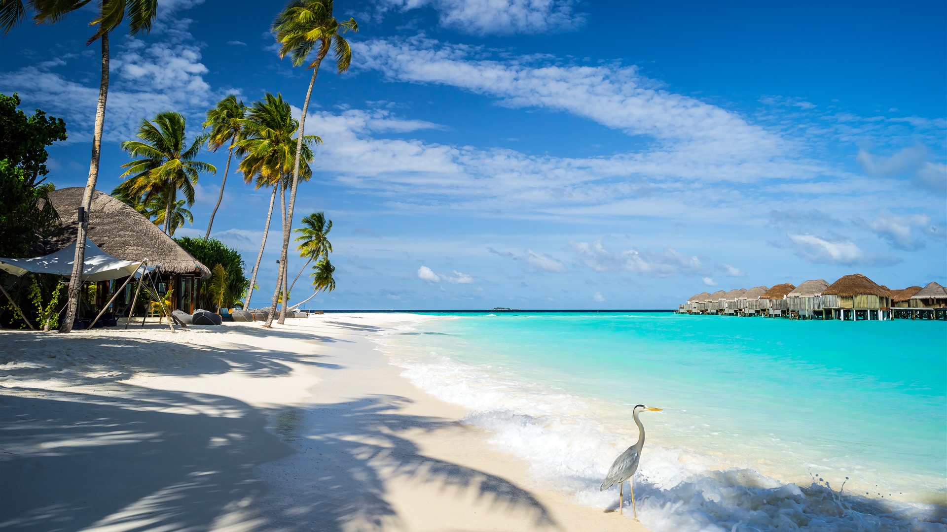 caribe