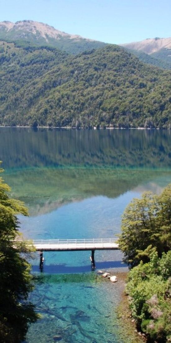 patagonia